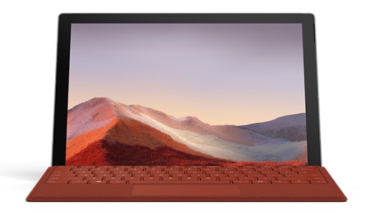 鄂伦春清洁和维护 Surface